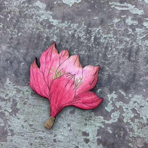 Magnolie — foto 1