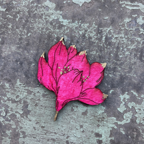 Magnolie — foto 1