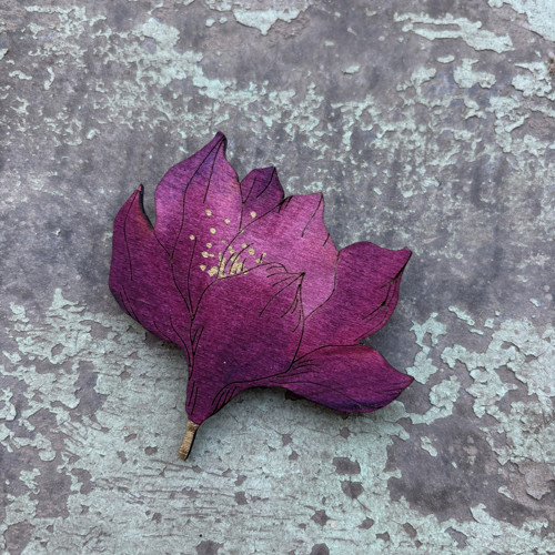 Magnolie — foto 1