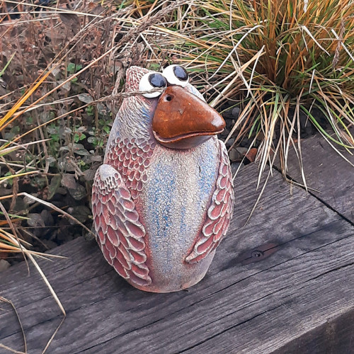 Ludvík - pták diplomat — foto 1