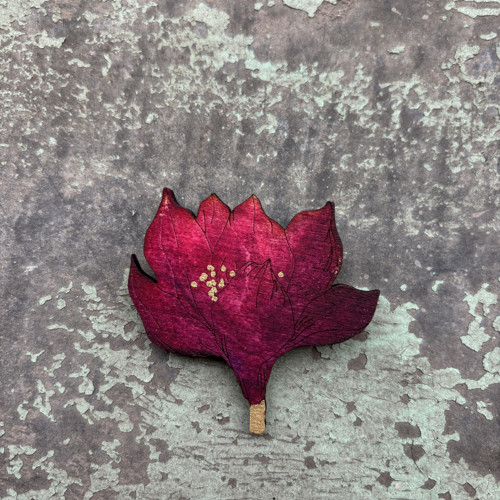 Magnolie — foto 1
