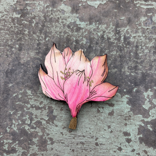 Magnolie — foto 1