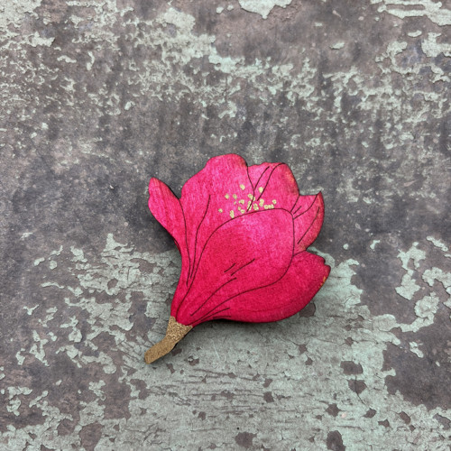Magnolie poupě velke — foto 1
