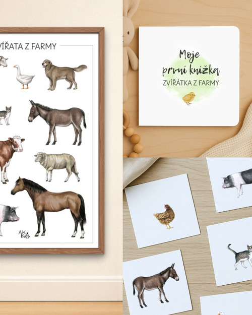 Montessori sada: knížka + karty + plakát, PDF