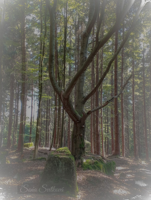 Zůstaň a buď součástí