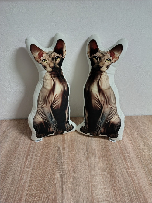 Kočka sphynx - 3D polštář