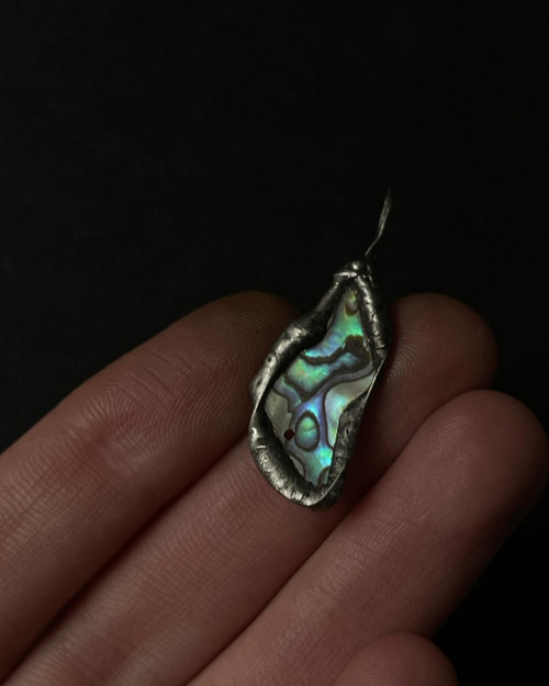 Paua mušľa (abalone)