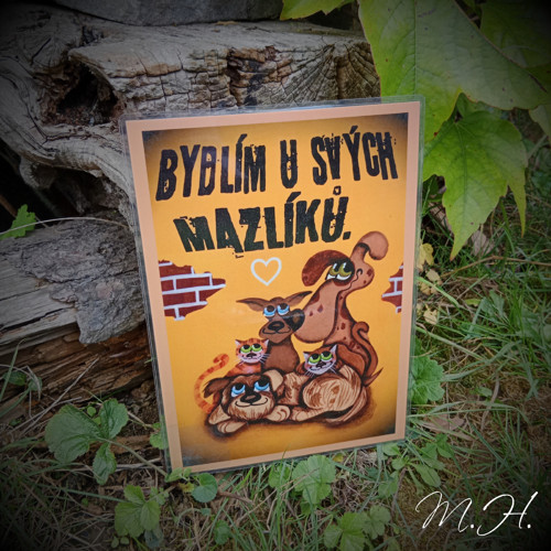 Bydlím u svých mazlíků — foto 1