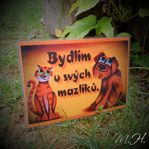 Bydlím u svých mazlíků