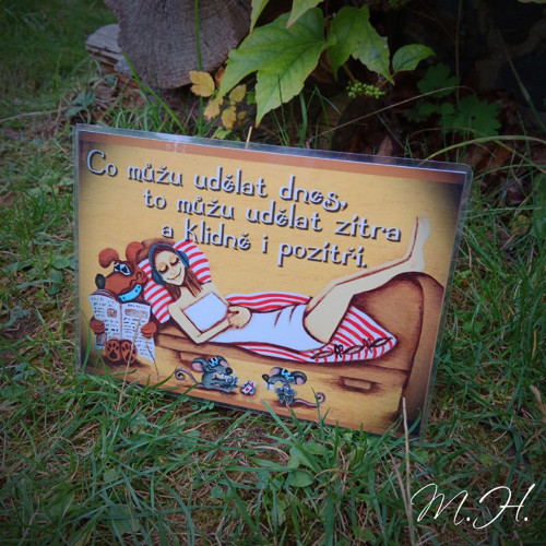 Co můžu udělat dnes...