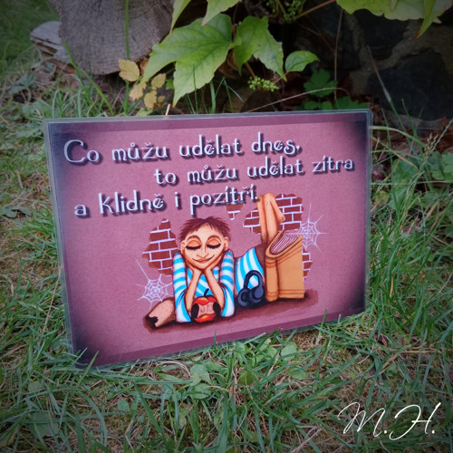 Co můžu udělat dnes... — foto 1
