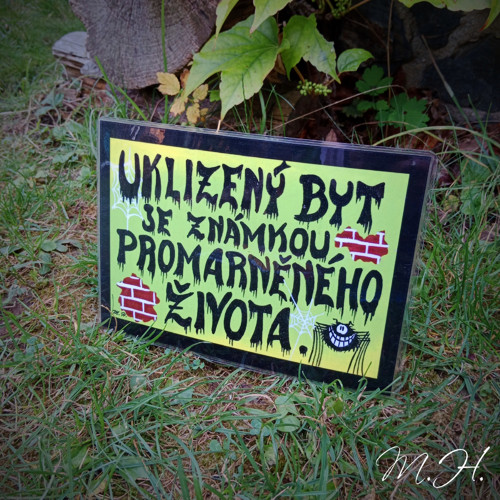 Uklizený byt je známkou promarněného života