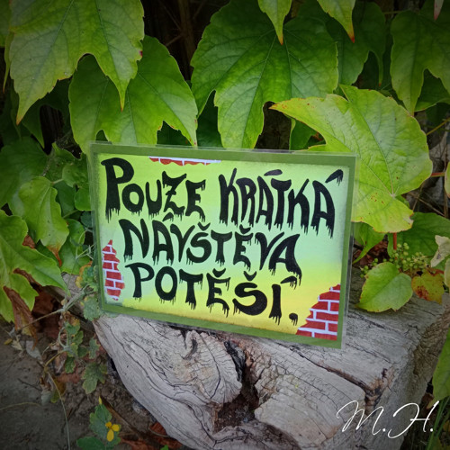 Pouze krátká návštěva potěší