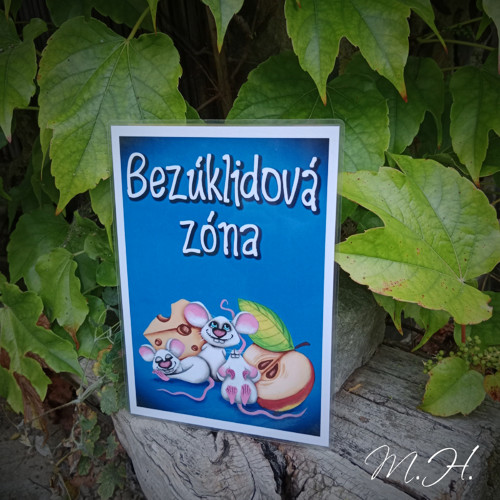 Bezúklidová zóna