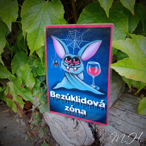 Bezúklidová zóna — foto 1