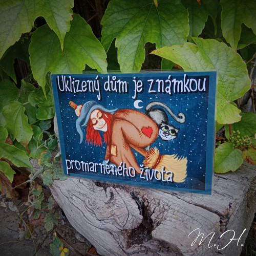 Uklizený dům je známkou promarněného života
