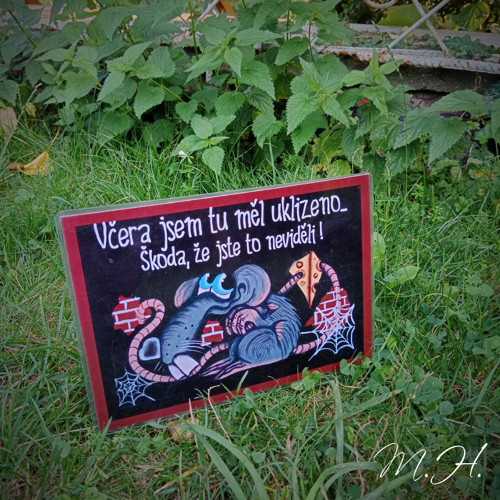 Včera jsem tu měl uklizeno, škoda...