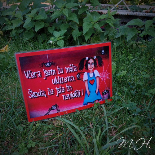 Včera jsem tu měla uklizeno, škoda...