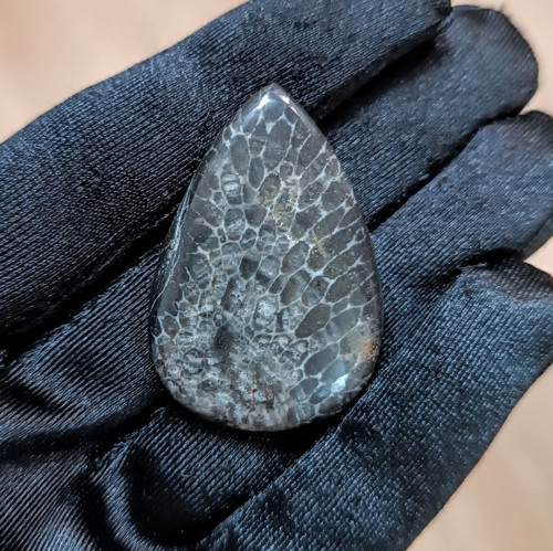 Zkamenělý korál, ID 5317, 40x27 mm - výprodej