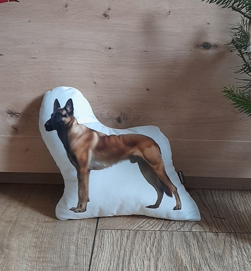 Dekorační polštář Malina (malý)