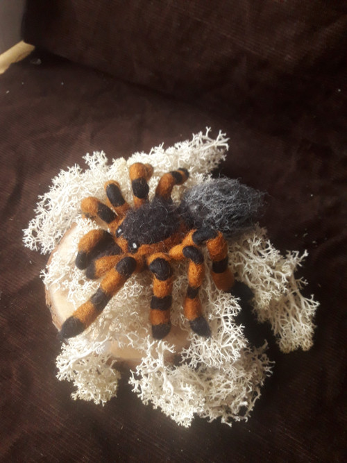 Tarantule - plstěný pavouk z ovčí vlny