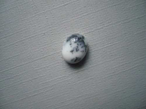 Kabošon - dendritický opál 9 mm, č.55Ef — foto 1