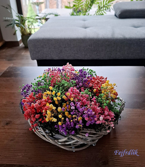 Barevná louka :).. — foto 1