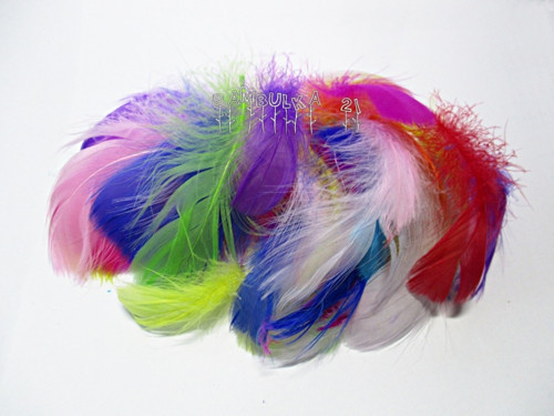 Peříčka 4-8cm, barevný, pestrobarevný mix,cca 20ks