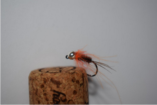 Nymfa Orange Halo