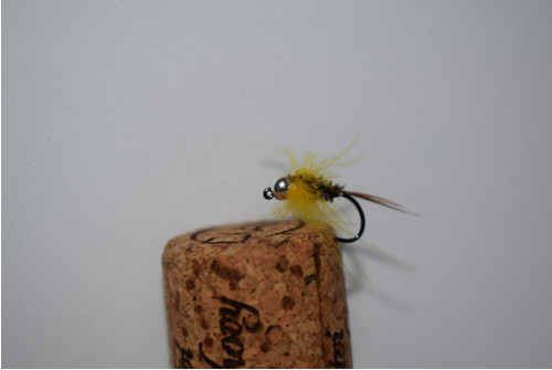 Nymfa Yellow Halo