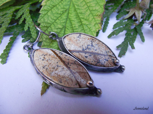 Púštny príbeh....(picture jasper-jaspis)
