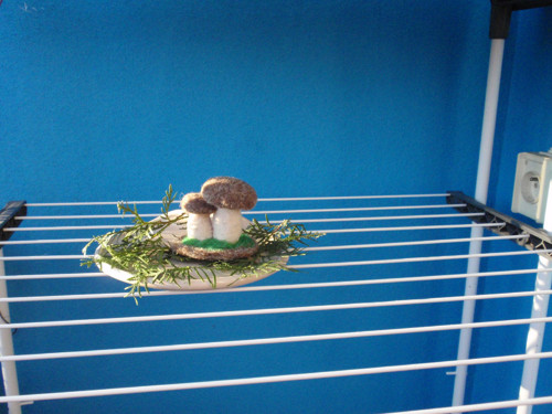 Suchohřibeček