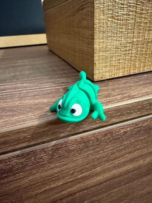 Roztomilý chameleon — foto 1