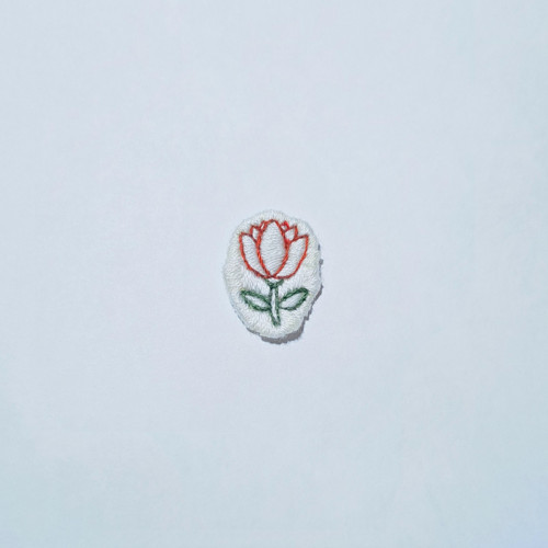 Drobný tulipán