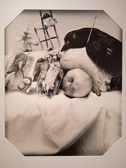 Oprava kabelky — foto 1