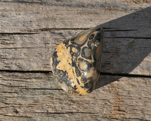 Jaspis leopardí V1842
