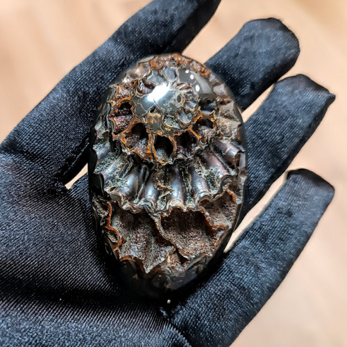 Simbircito-amonitová geoda, ID 5383, 63x40 mm