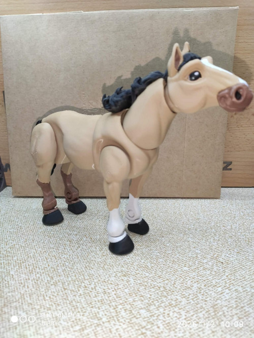 Kůň