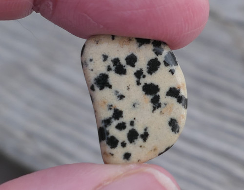 Jaspis dalmatin (20 mm)V1947 — foto 1