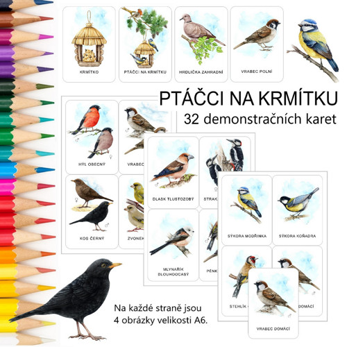 PTÁČCI NA KRMÍTKU - 32 demonstračních karet v PDF