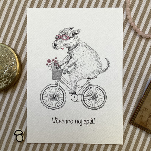 Cyklistka pohlednice