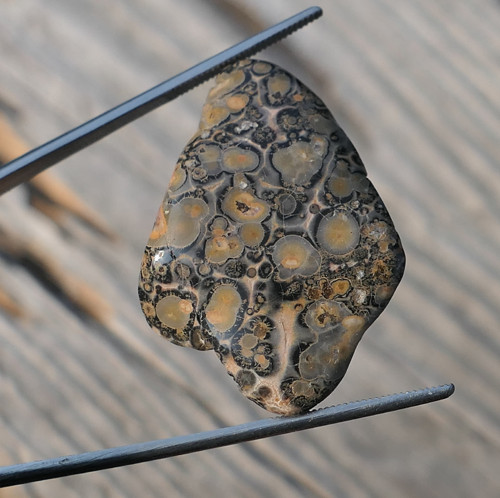 Jaspis leopardí V2075 — foto 1