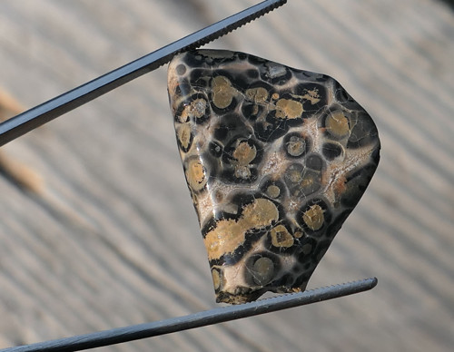 Jaspis leopardí V2084 — foto 1