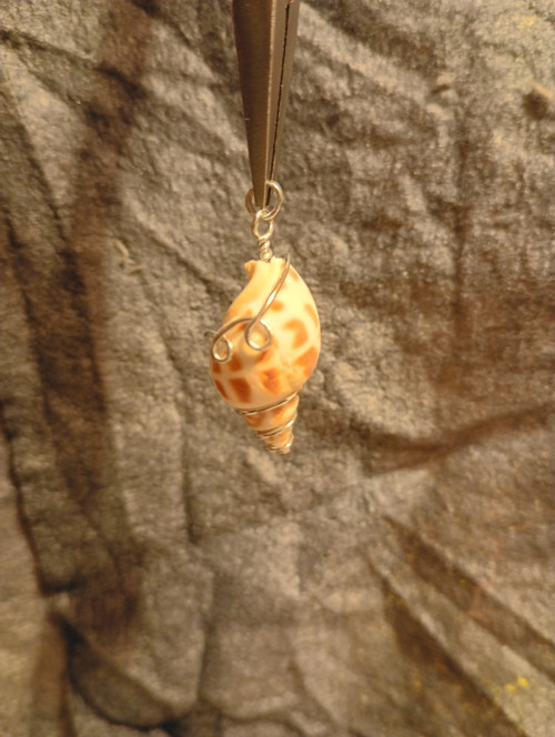 Mušle v drátu/wire wrapping