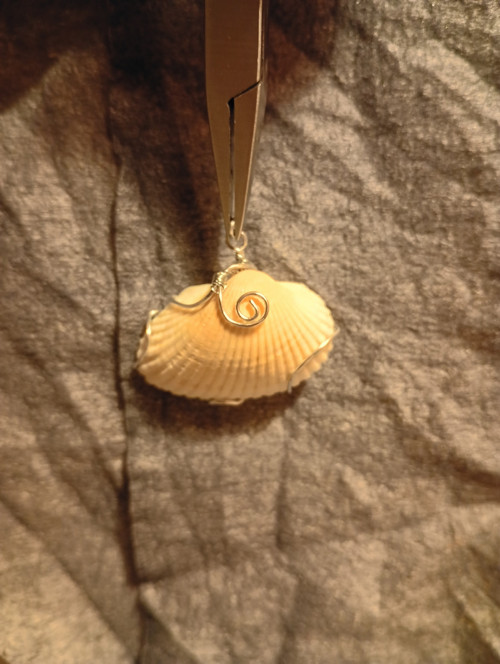 Mušle v drátu/wire wrapping
