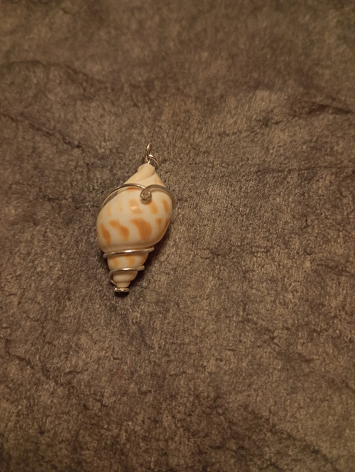 Mušle v drátu/wire wrapping