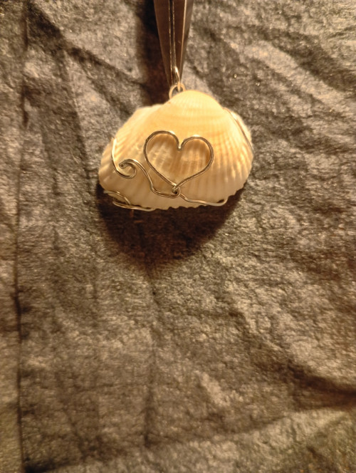Mušle v drátu/wire wrapping