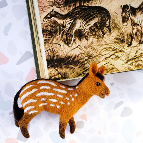 Hyracotherium - Kůň úsvitu dějin — foto 1