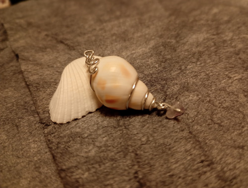 Mušle v drátu/wire wrapping
