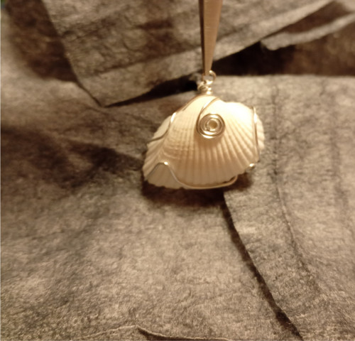 Mušle v drátu/wire wrapping